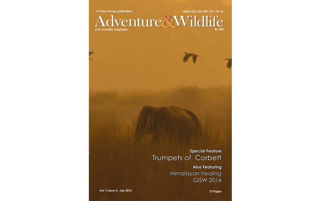 Vol 1 | Issue 3 | July 2016