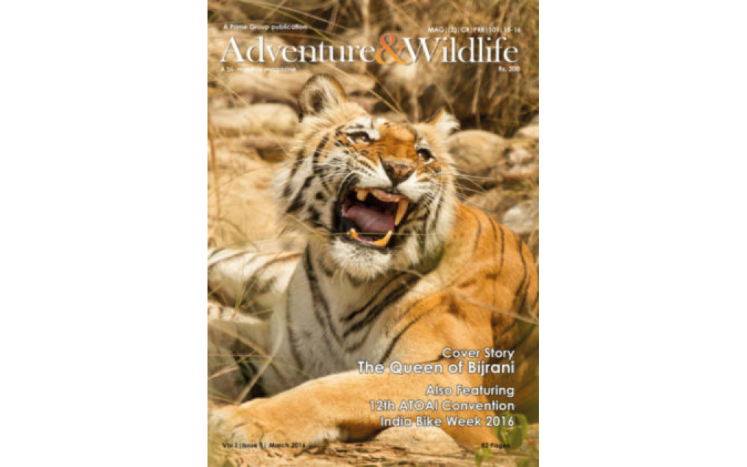 Magazine Cover Pictures