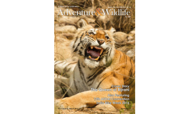 Magazine Cover Pictures