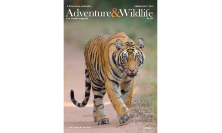 Vol 1 | Issue 4 | Sep 2016