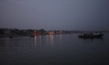 Wildlife Institute of India is conducting survey of aquatic fauna in Ganga river: Government