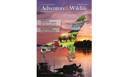 VOL 2 | ISSUE 1 | MAR – MAY 2017