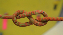 Knots for Climbing
