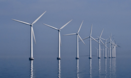 Clean vs green: Will India’s offshore wind energy push threaten biodiversity?