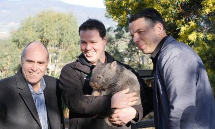 Campaign launched to reduce Tasmanian roadkill