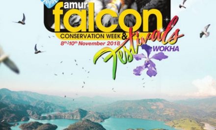 Amur Falcon Conservation Week and Festival 2018