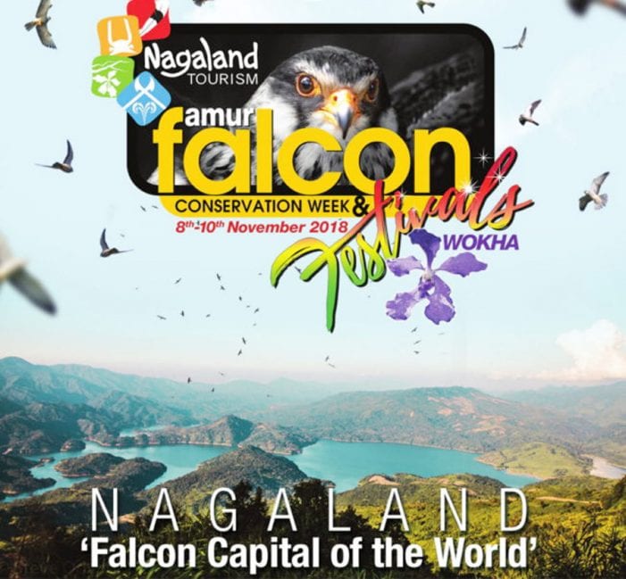 Amur Falcon Conservation Week and Festival 2018