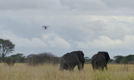 Drones and AI assist in mapping ecology, wildlife conservation