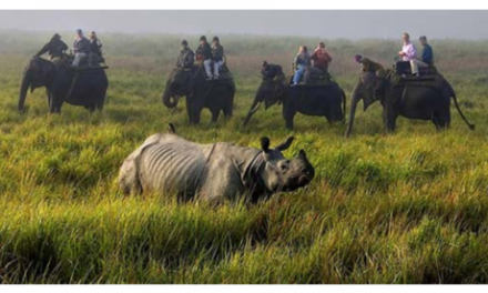 Assam ranked as ‘Best Destination for Wildlife in India’ at Lonely Planet Magazine’s Travel Awards 2019
