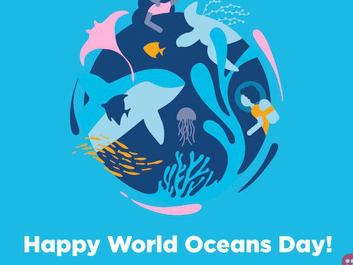 8th June is World Oceans Day
