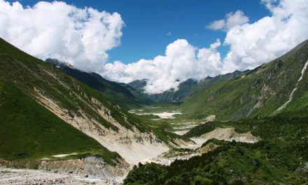 Himalayan flora-fauna in critical phase to global warming: Scientists
