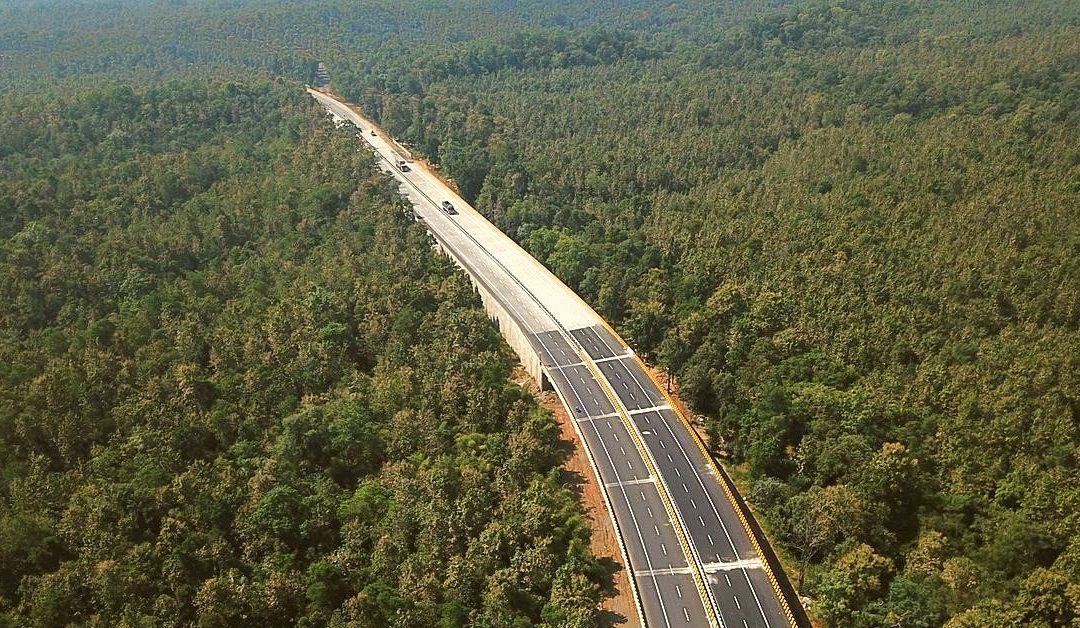How India’s First Dedicated Underpass for Wildlife Was Built on India’s NH-7/44