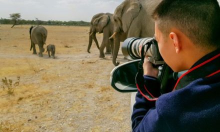 More than 70 photographers raise funds for wildlife