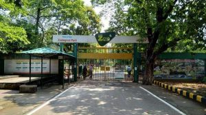 Tata zoo