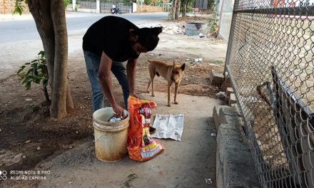 HCL Steps in to Support Animals