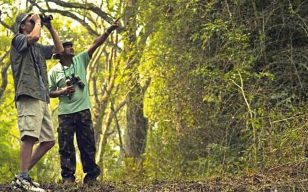 Coorg Valley