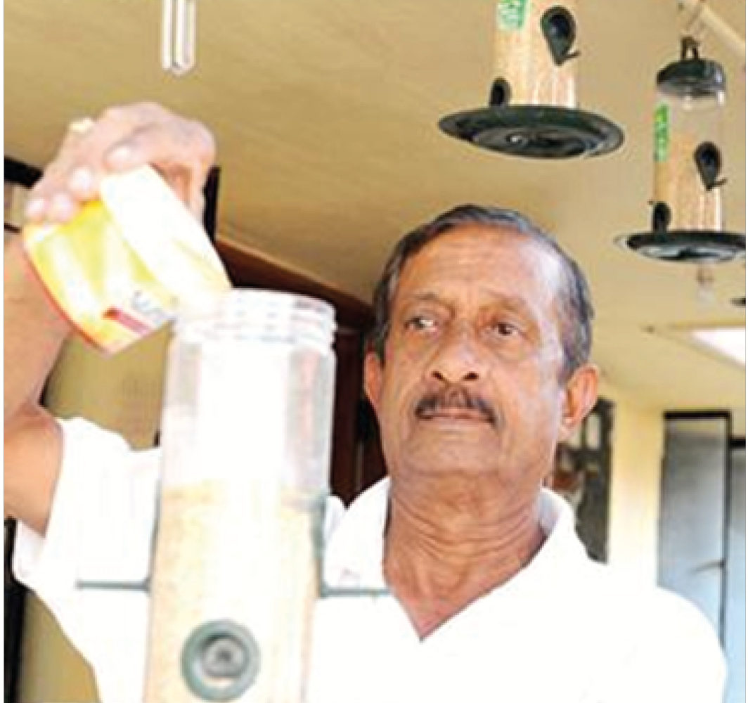 Conservation-Sparrow Man Opens His Home and Heart To Birds Struggling To Survive