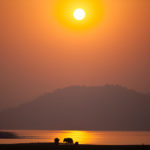 The Trumpets of Corbett National Park