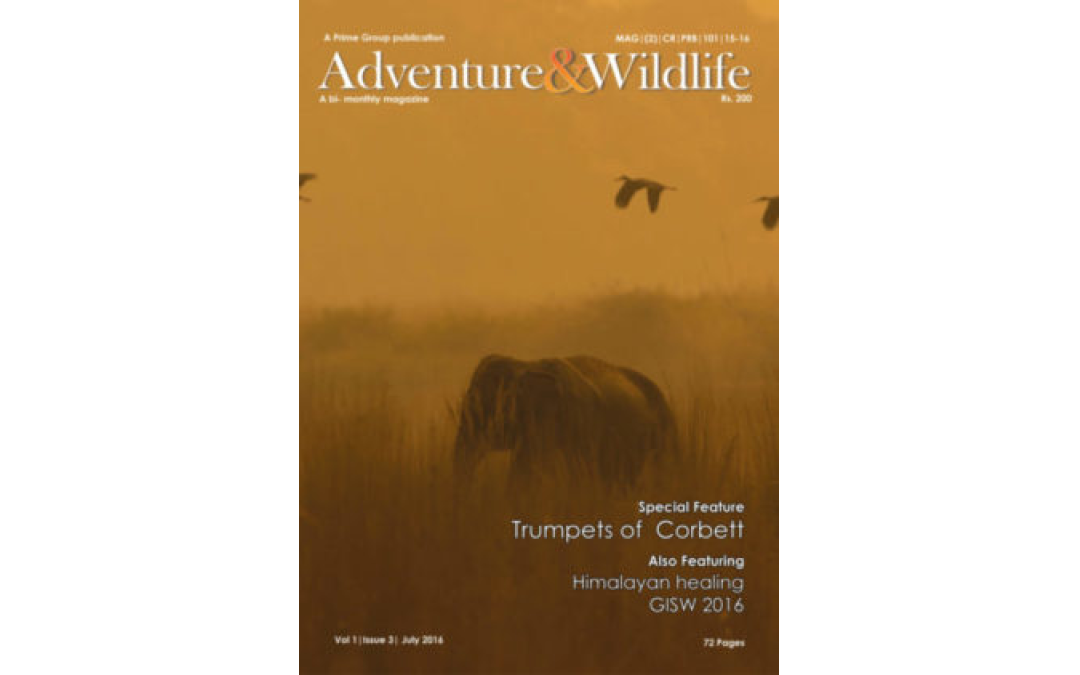 Vol 1 | Issue 3 | July 2016