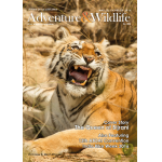 Magazine Cover Pictures