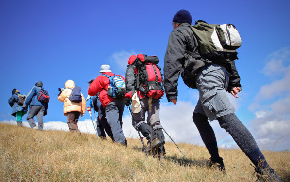 Expeditions