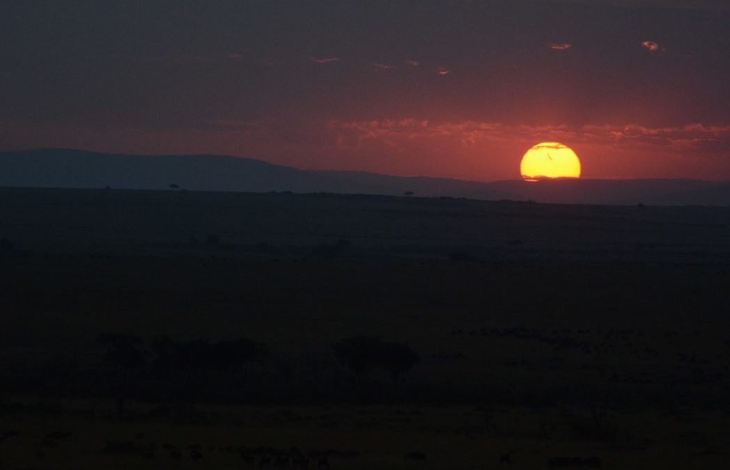 MASAI MARA MAGIC