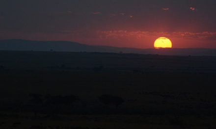 MASAI MARA MAGIC