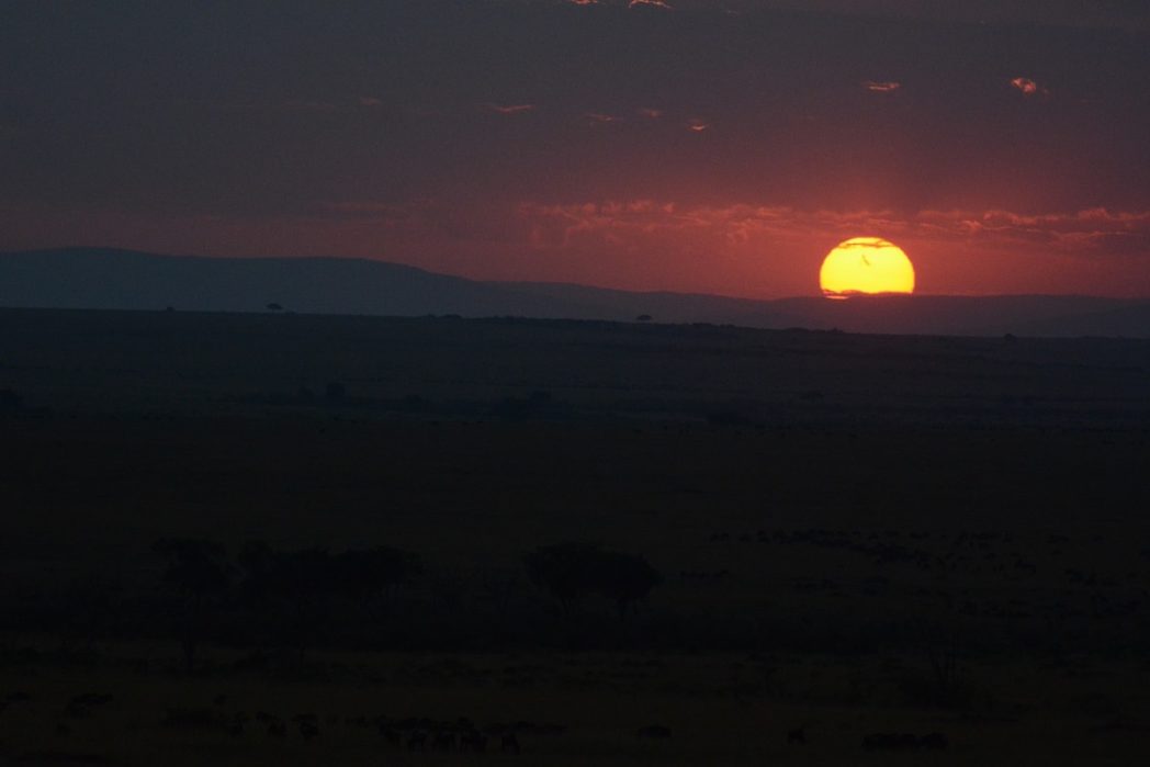 MASAI MARA MAGIC