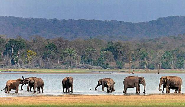 Four dam sites in Karnataka to become tourism hubs