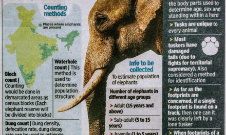Nation-wide Jumbo Census to begin next month