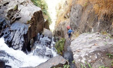 Bengaluru trio discovers a Knotty Canyon in Wayanad