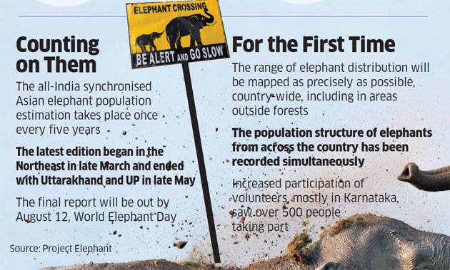 How the national elephant census went about the job of counting the beast