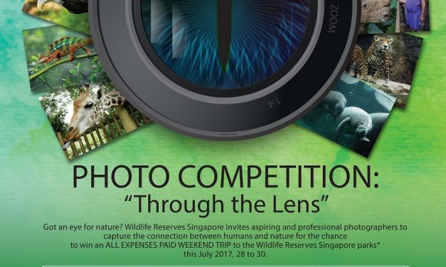 PHOTO CONTEST: WIN AN ALL EXPENSE PAID TRIP TO SINGAPORE!!!
