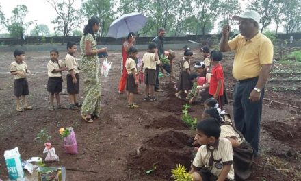 5.5 crore saplings to be planted across Maharashtra during Van Mahotsav