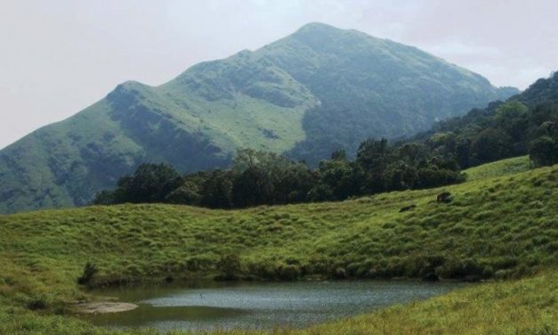 Chembra Peak to open today