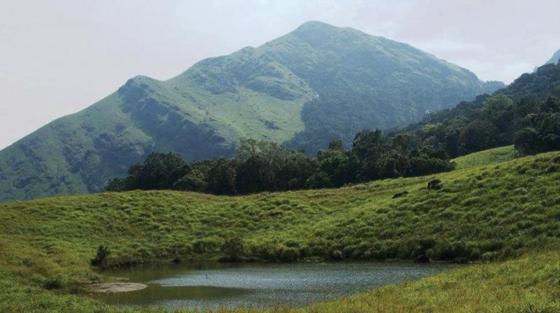 Chembra Peak to open today