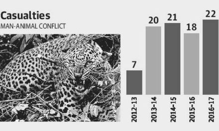 Relook into man-animal conflicts