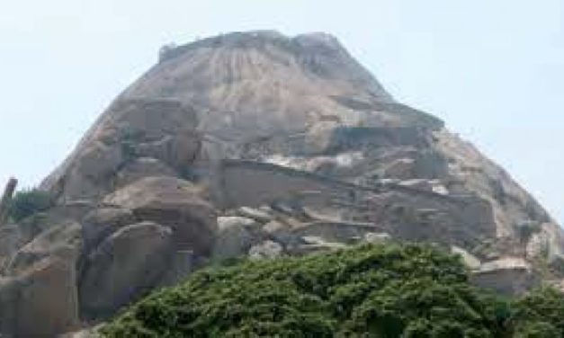 Karnataka: Year of Wild’! Eco-trails catching up very fast