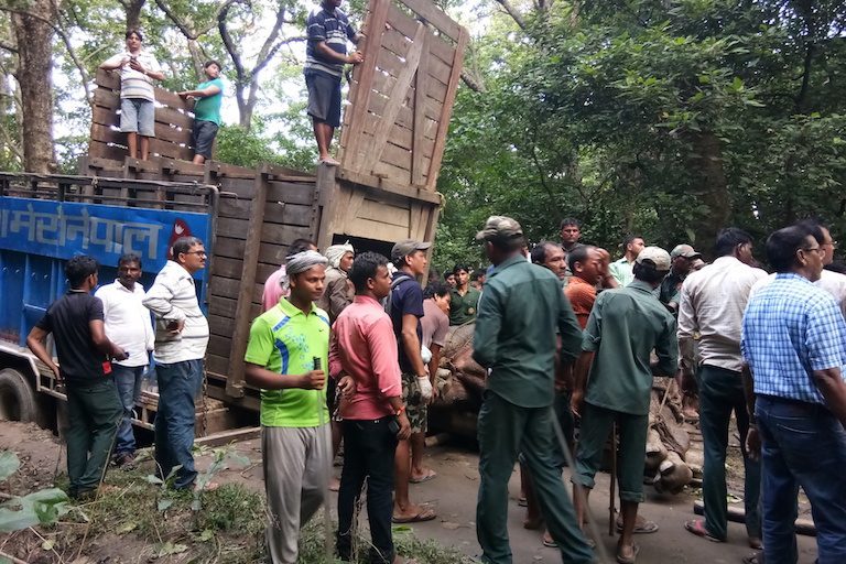 rhino-loaded-for-transport-courtesy-of-Valmiki-Tiger-Reserve
