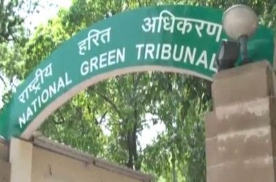 NGT bans mining in forest, buffer zone of Ranthambore