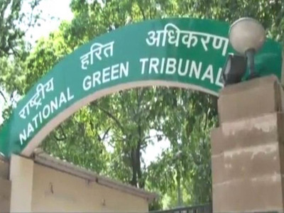 NGT bans mining in forest, buffer zone of Ranthambore