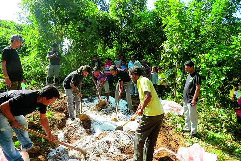 Project to make peace with jumbos