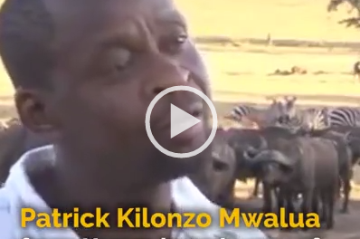 Kenya man drives water truck daily to aid drought-affected animals