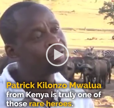 Kenya man drives water truck daily to aid drought-affected animals