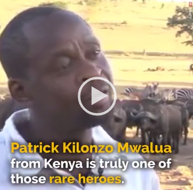 Kenya man drives water truck daily to aid drought-affected animals