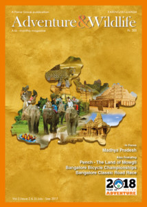 Vol 2-Issue 2-3-July-Sep 2017 cover picture