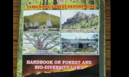 Tamil Nadu: Foresters document heritage sites and flora