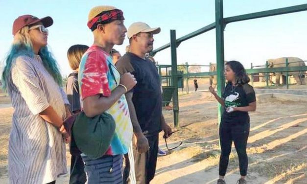Pharrell Williams visits Wildlife SOS-run elephant conservation centre in Mathura