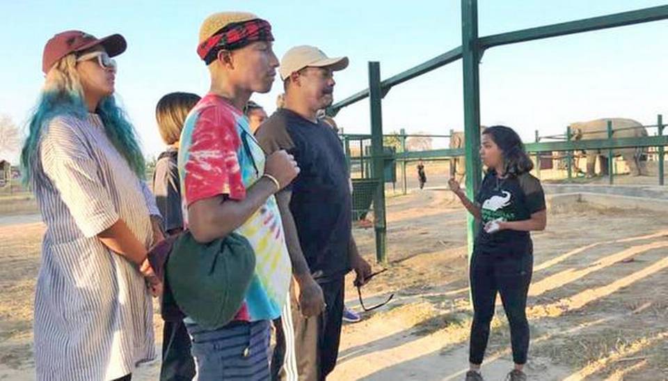 Pharrell Williams visits Wildlife SOS-run elephant conservation centre in Mathura