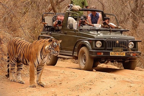 Travel guide to Ranthambore National Park